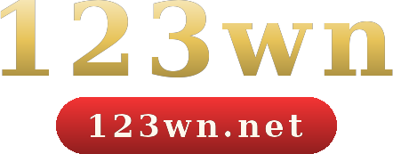 123wn logo